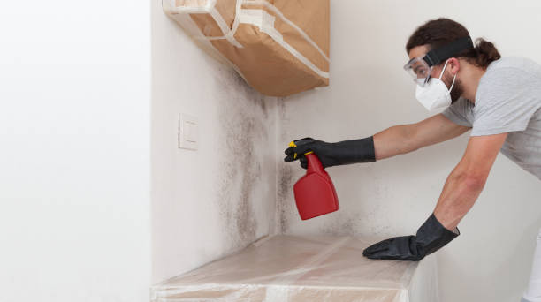 Professional Crawl Space Mold Remediation technician working in Jericho, NY